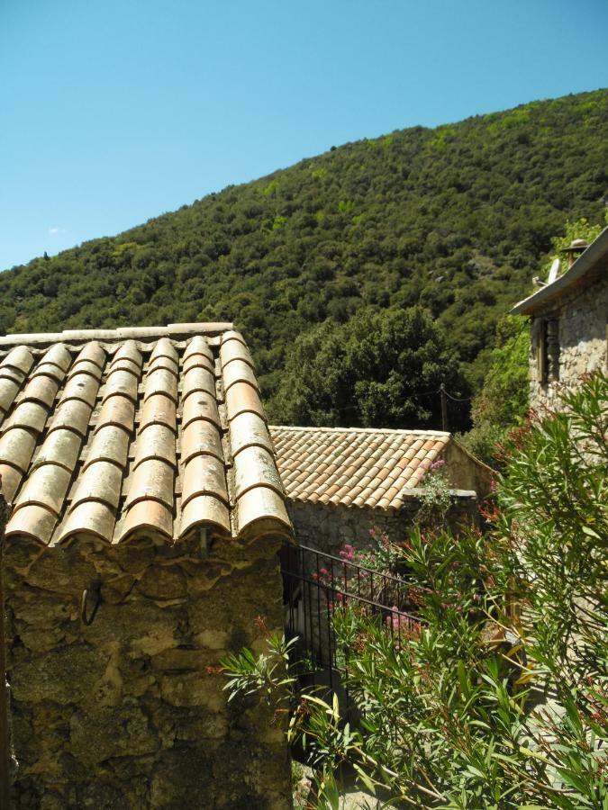 Saint-Martial  Mas Des Nabieres B&B 외부 사진
