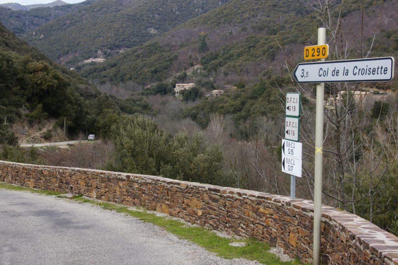 Saint-Martial  Mas Des Nabieres B&B 외부 사진